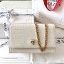 Alexander McQueen Skull Mini Bag 19*13*5cm 2025.4.17