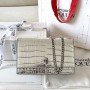 Alexander McQueen Skull Mini Bag 19*13*5cm 2025.4.17