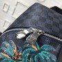 LV APOLLO Backpack N50003