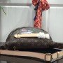 LV BUMBAG M43644XY