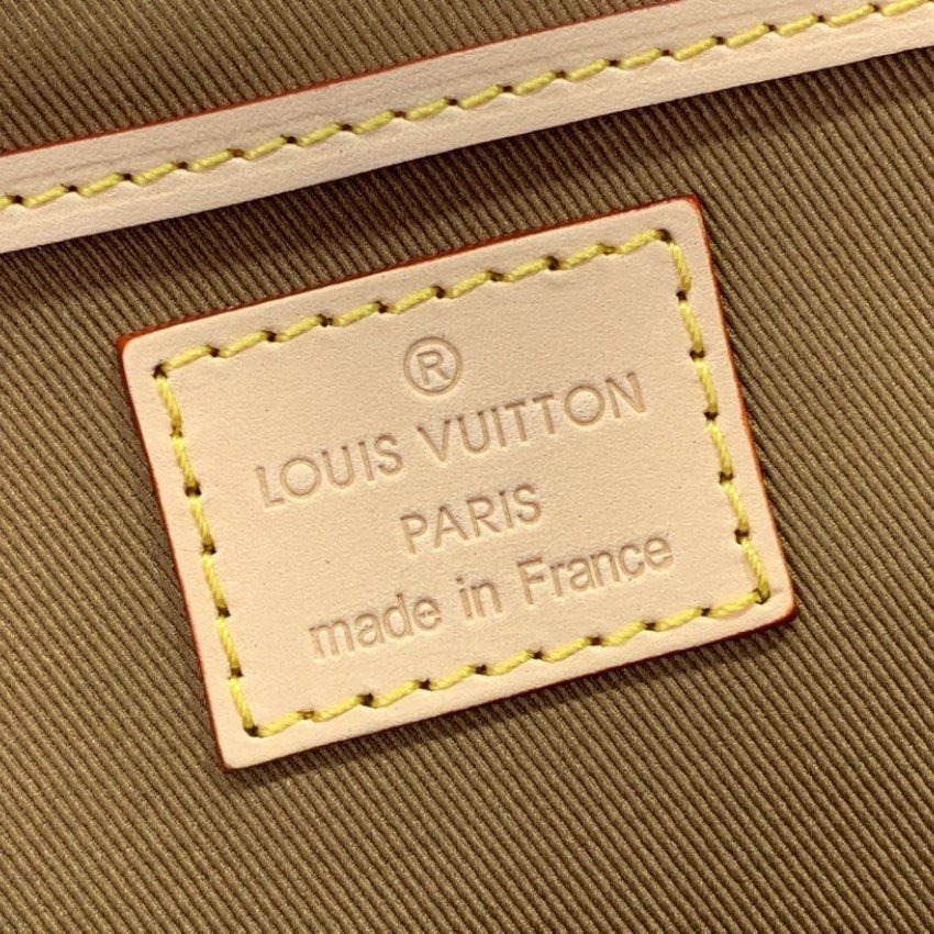 LV Bakcpack m11197