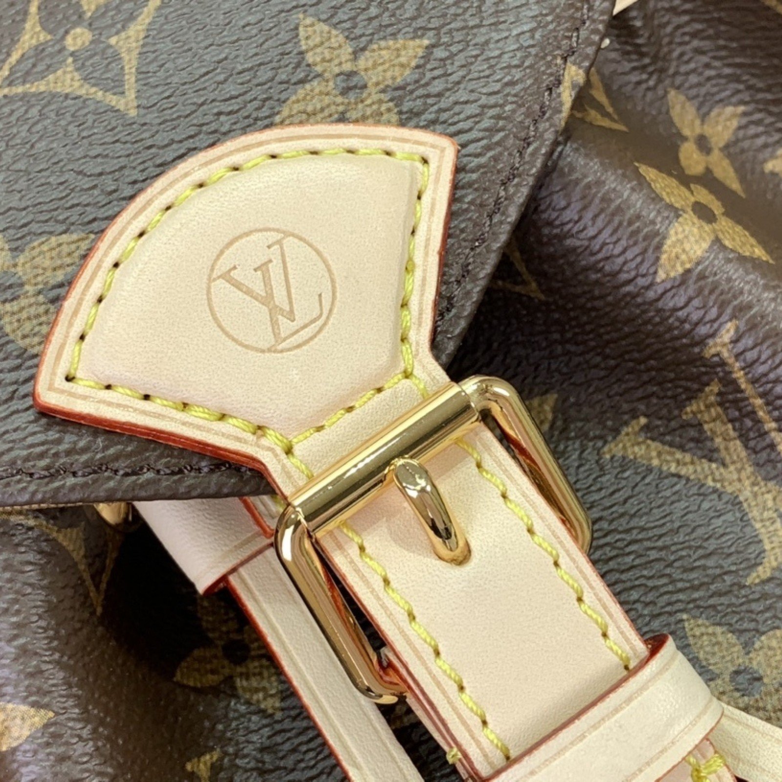 LV Bakcpack m11199