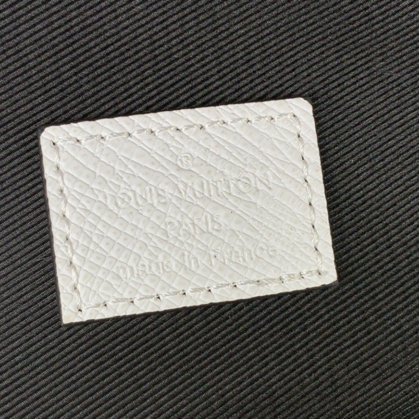 LV Bakcpack m30953