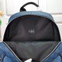 LV CAMPUS BACKPACK N50009
