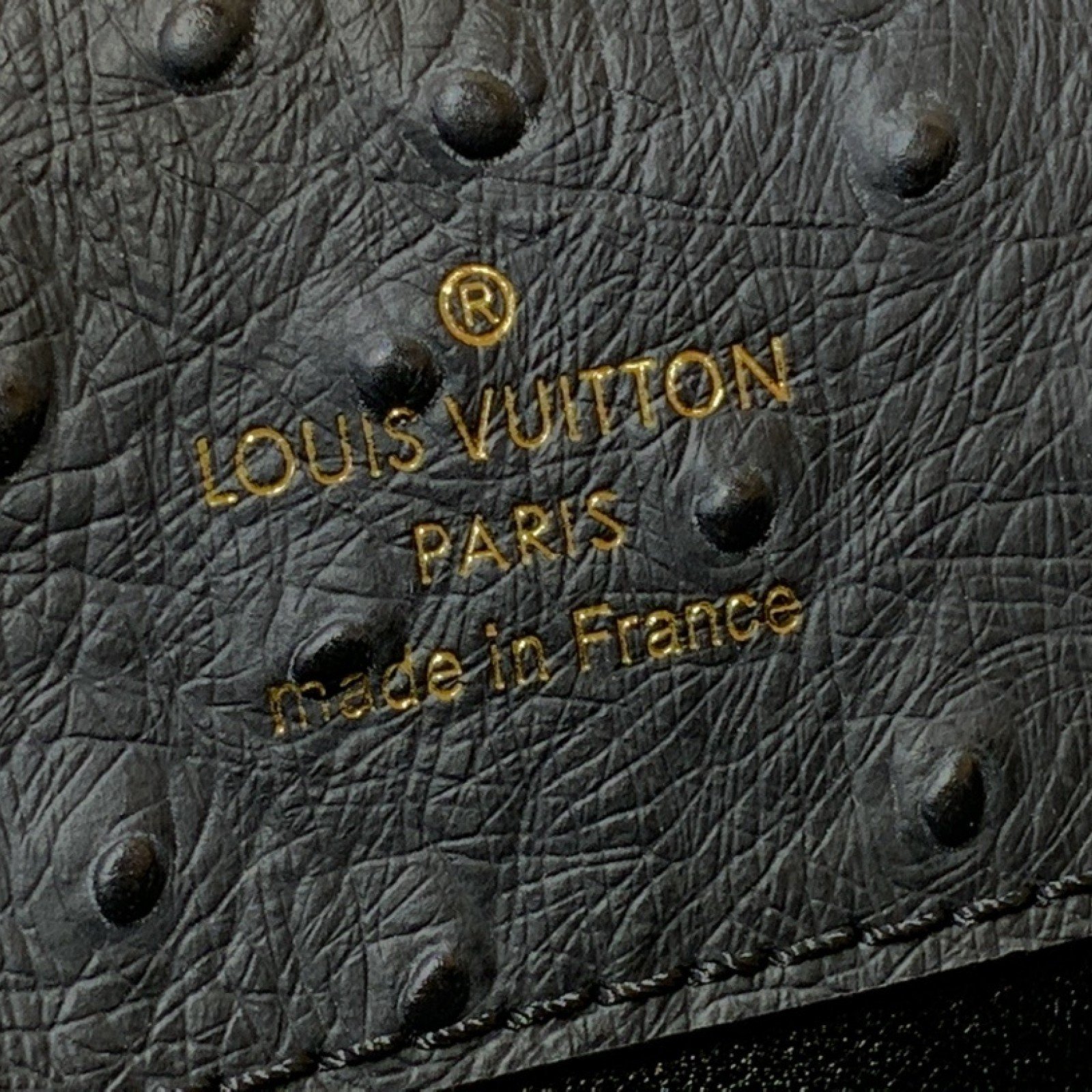 LV CAPUCINES  m12935