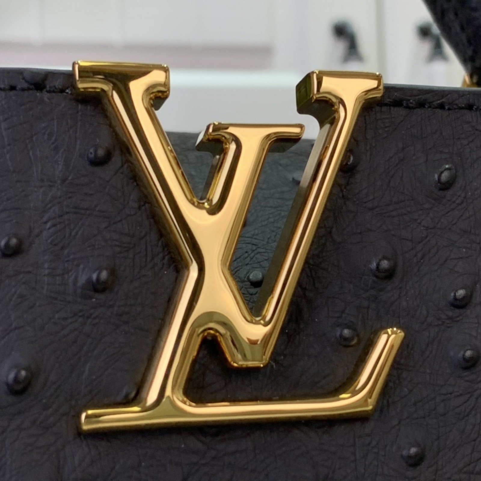 LV CAPUCINES  m12935