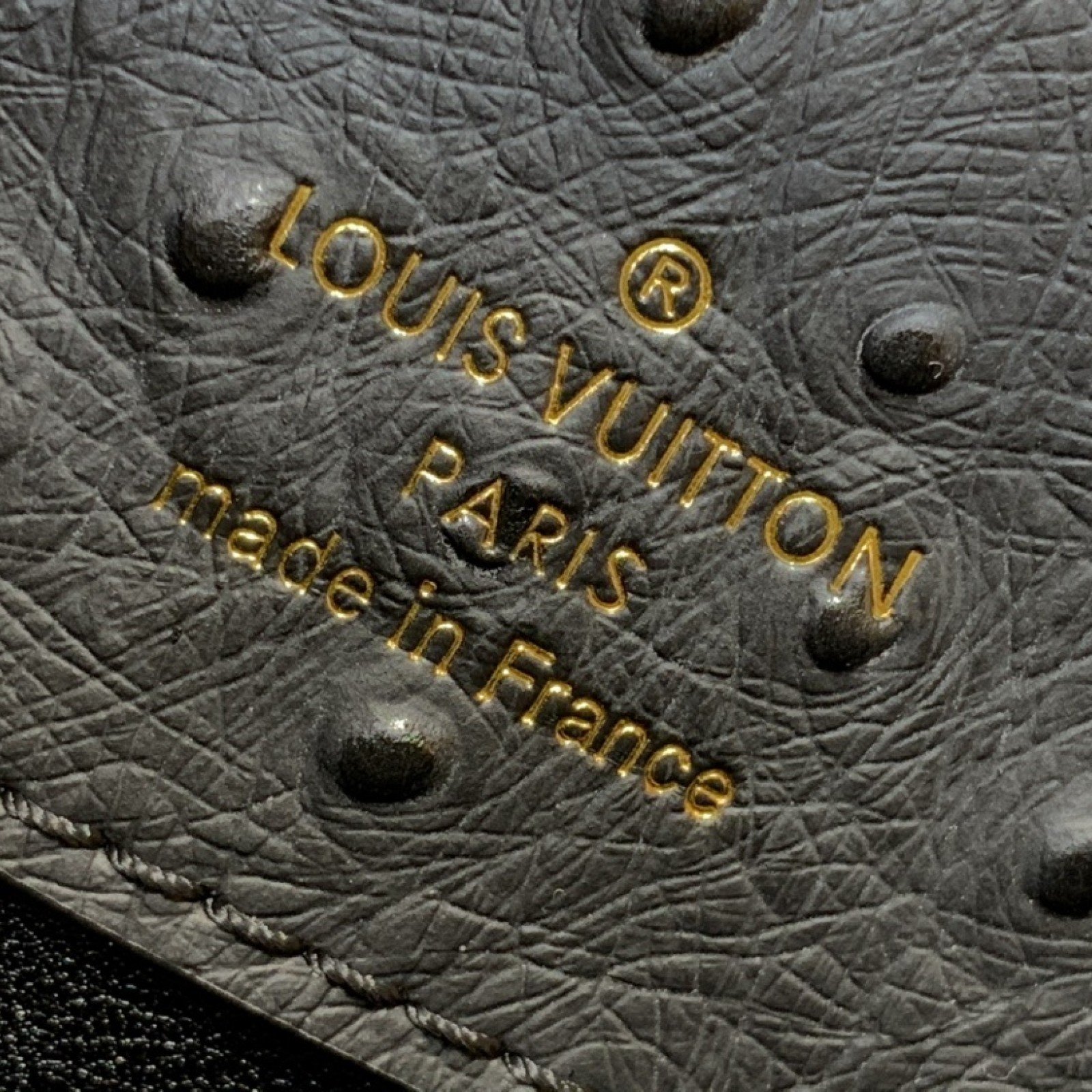 LV CAPUCINES  m12935
