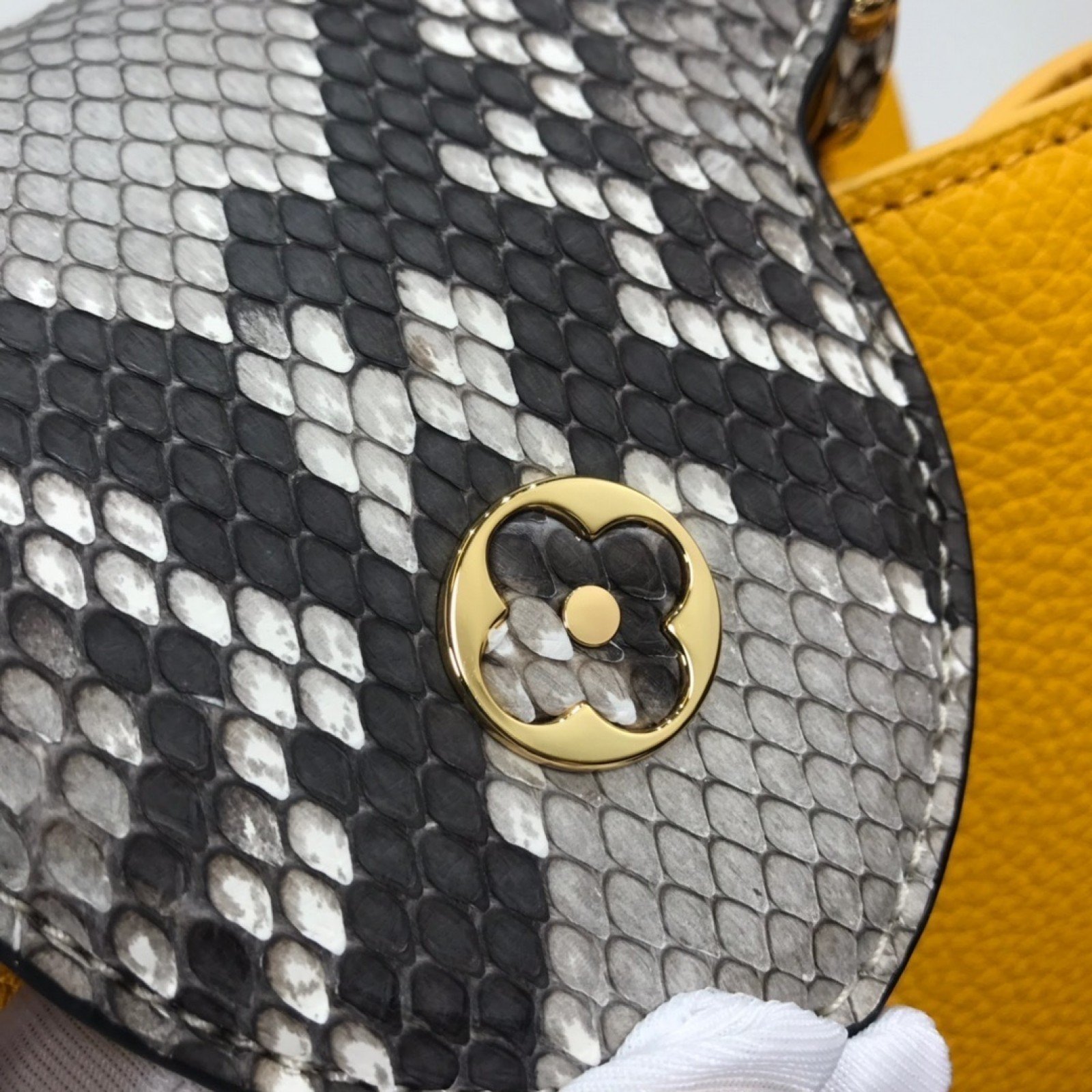 LV CAPUCINES BB M48865SW