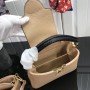 LV CAPUCINES MINI M94227