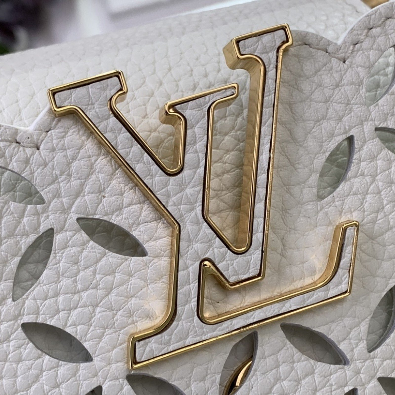 LV CAPUCINES m25497