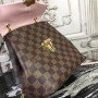 LV CLAPTON Backpack N42259