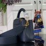 LV Capucines  m25231
