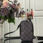 LV Cellphone Pouch M69534