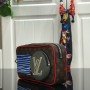 LV Clutch bag M68687PV