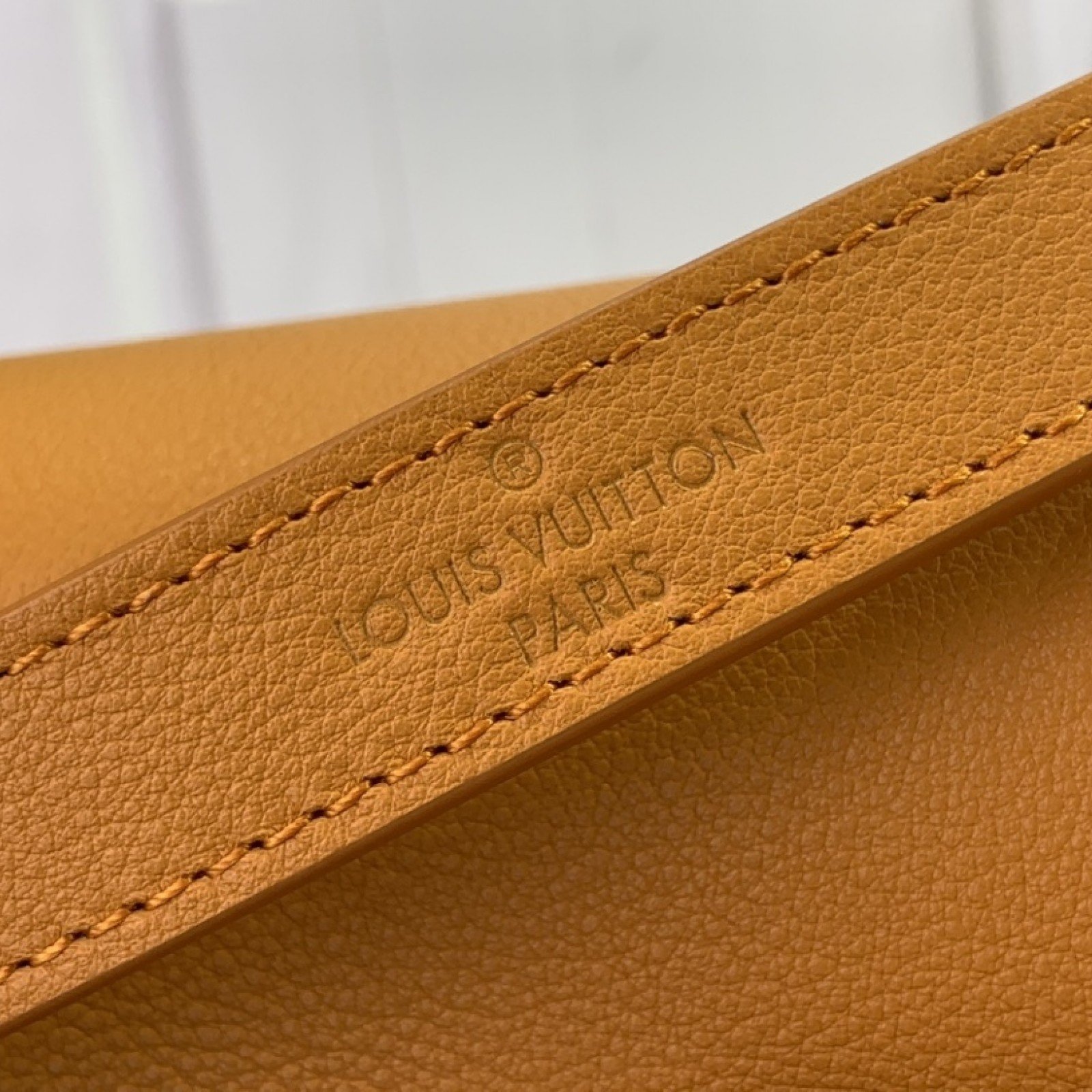 LV DAUPHINE SOFT  M25209