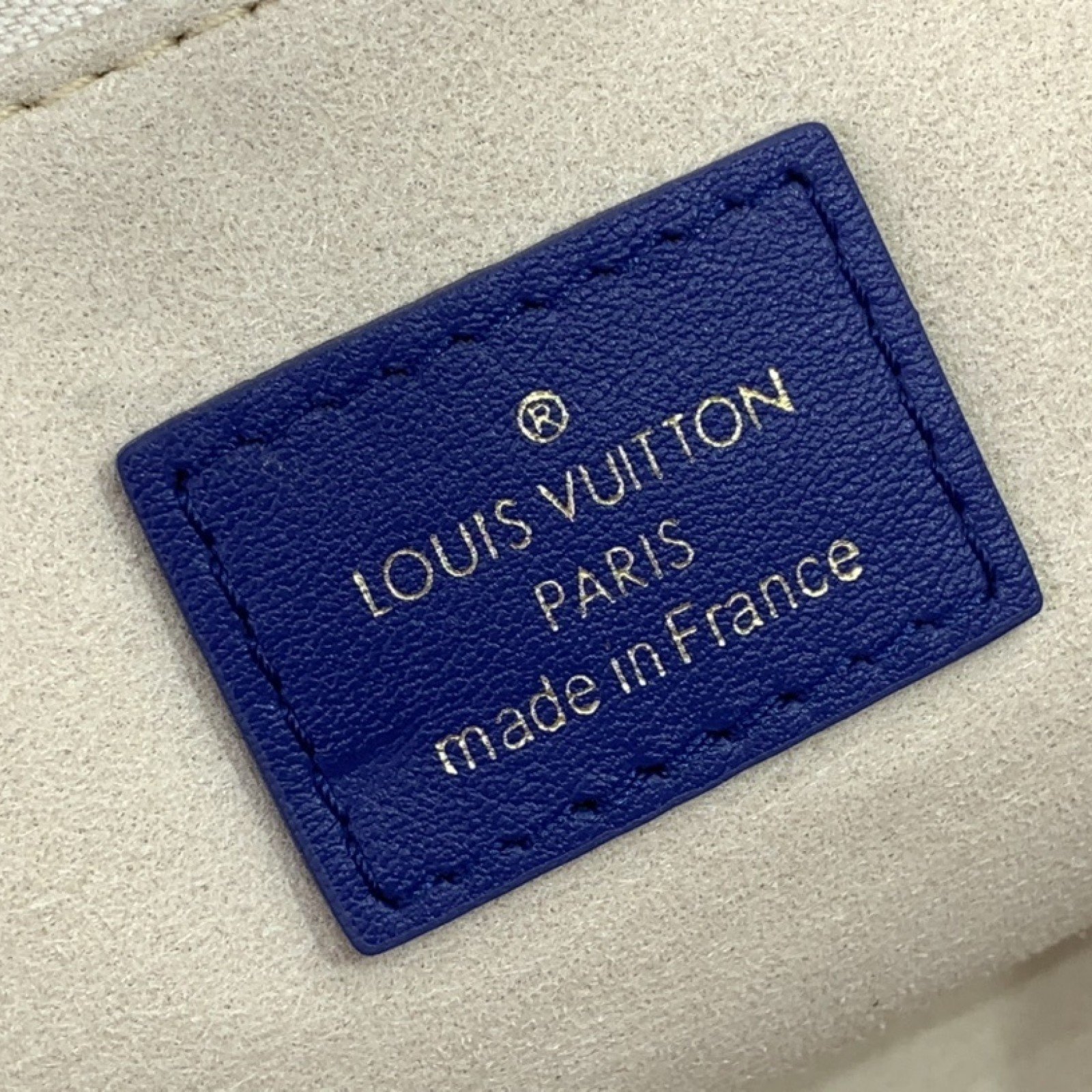 LV DUST BAG TOTE m15235