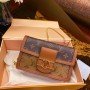 LV Dauphine 4106B1