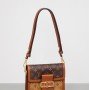 LV Dauphine 4106B1