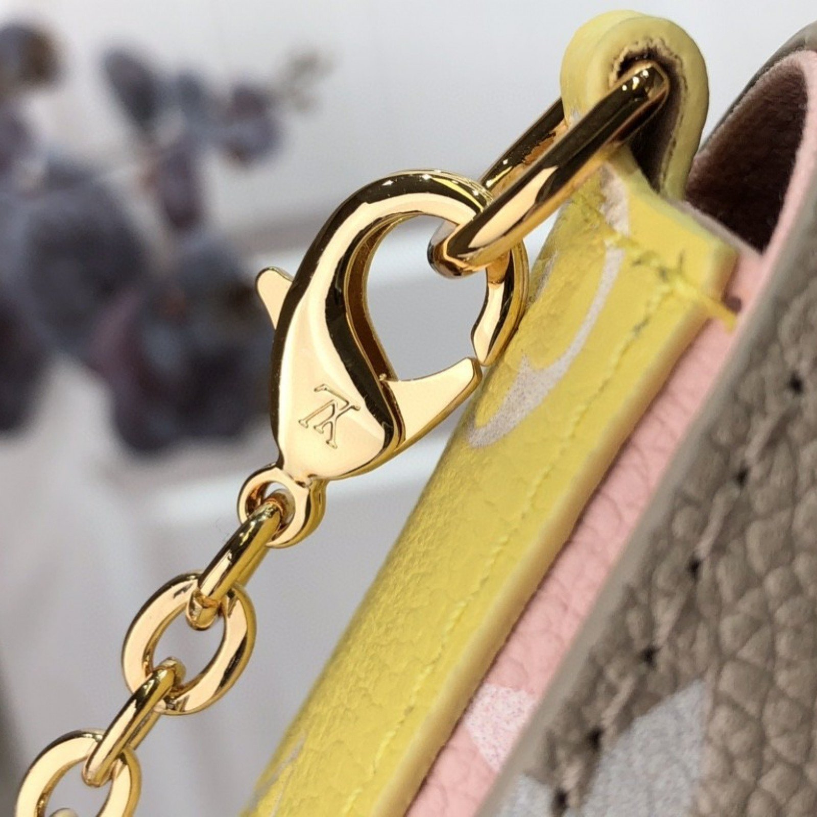LV FELICIE POCHETTE M81359