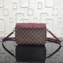 LV GLAPTON Bag N44243