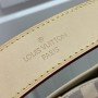 LV GRACEFUL N42233
