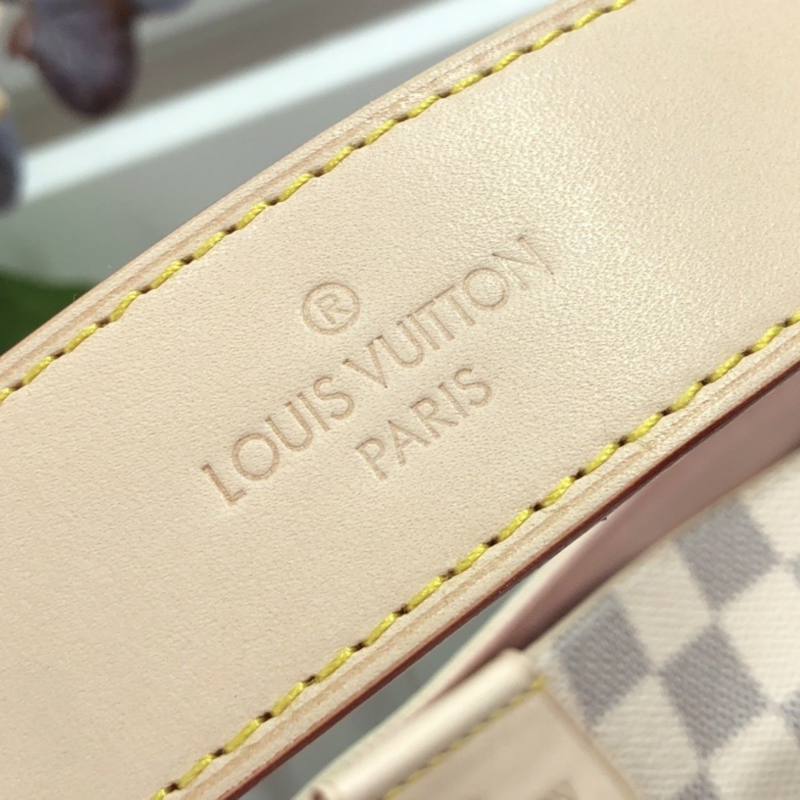 LV GRACEFUL N42233