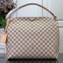 LV GRACEFUL N42233