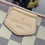 LV GRACEFUL N42233