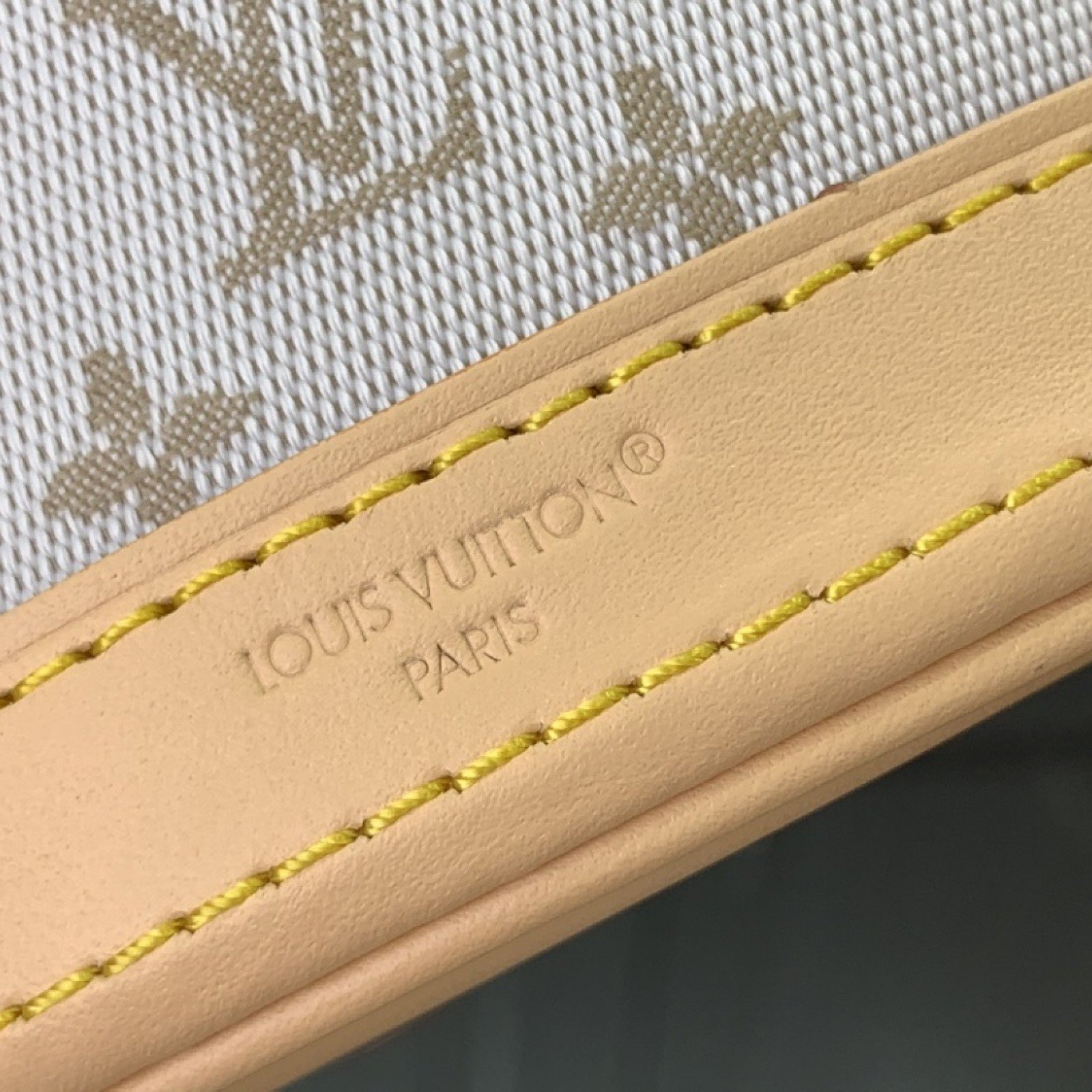 LV Handbag M12317