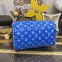 LV Handbag M24443