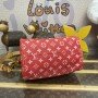 LV Handbag M24443