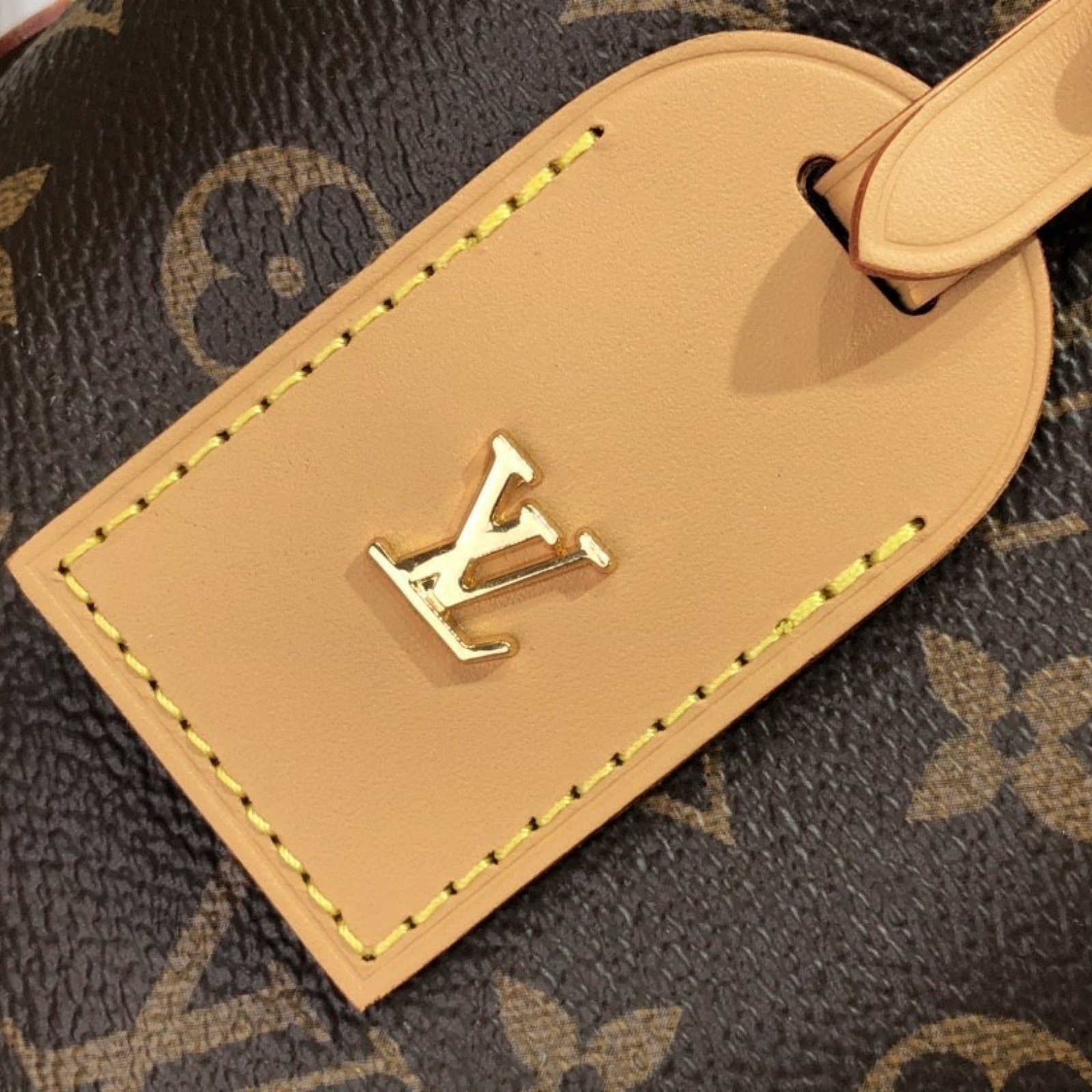 LV Handbag M46203
