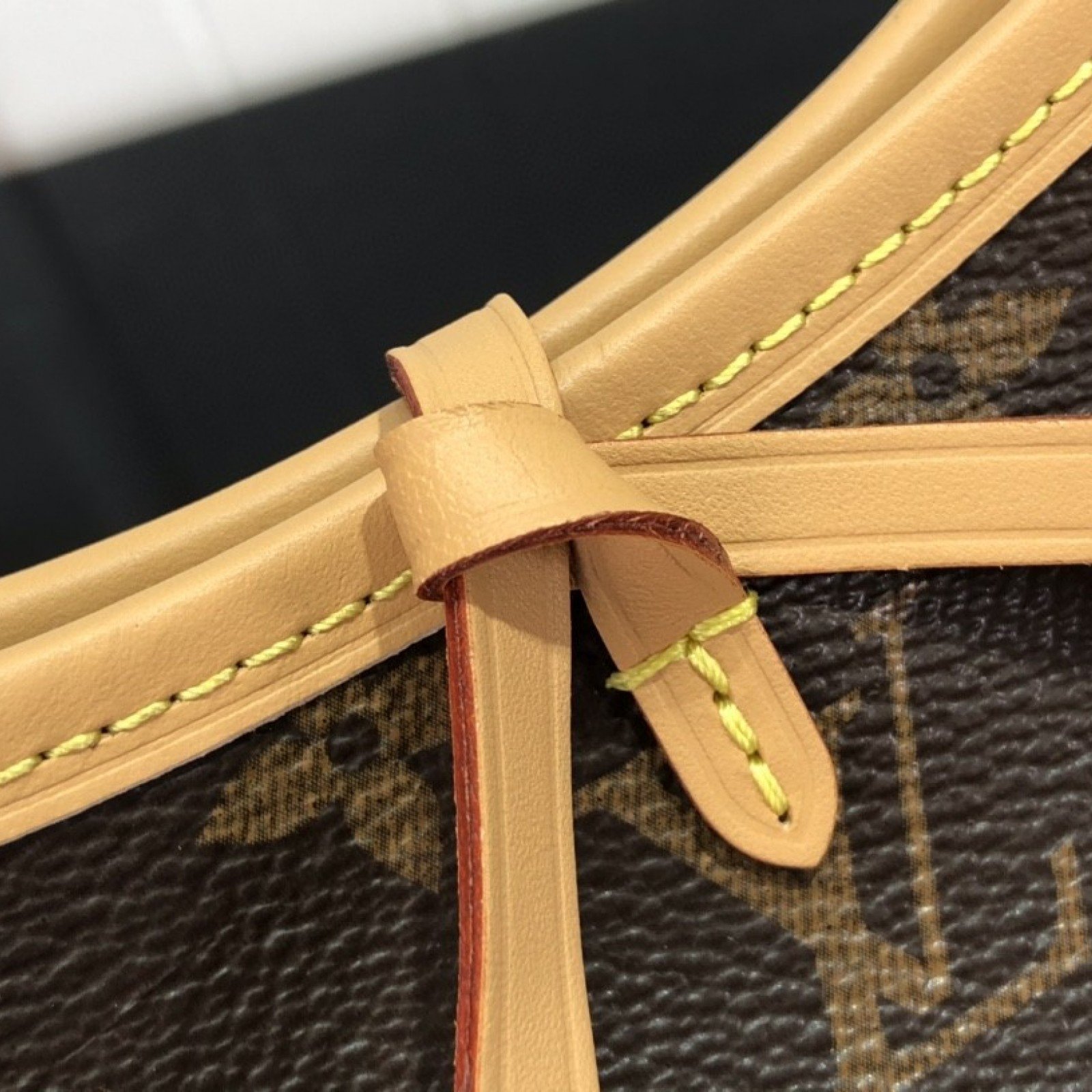 LV Handbag M46203