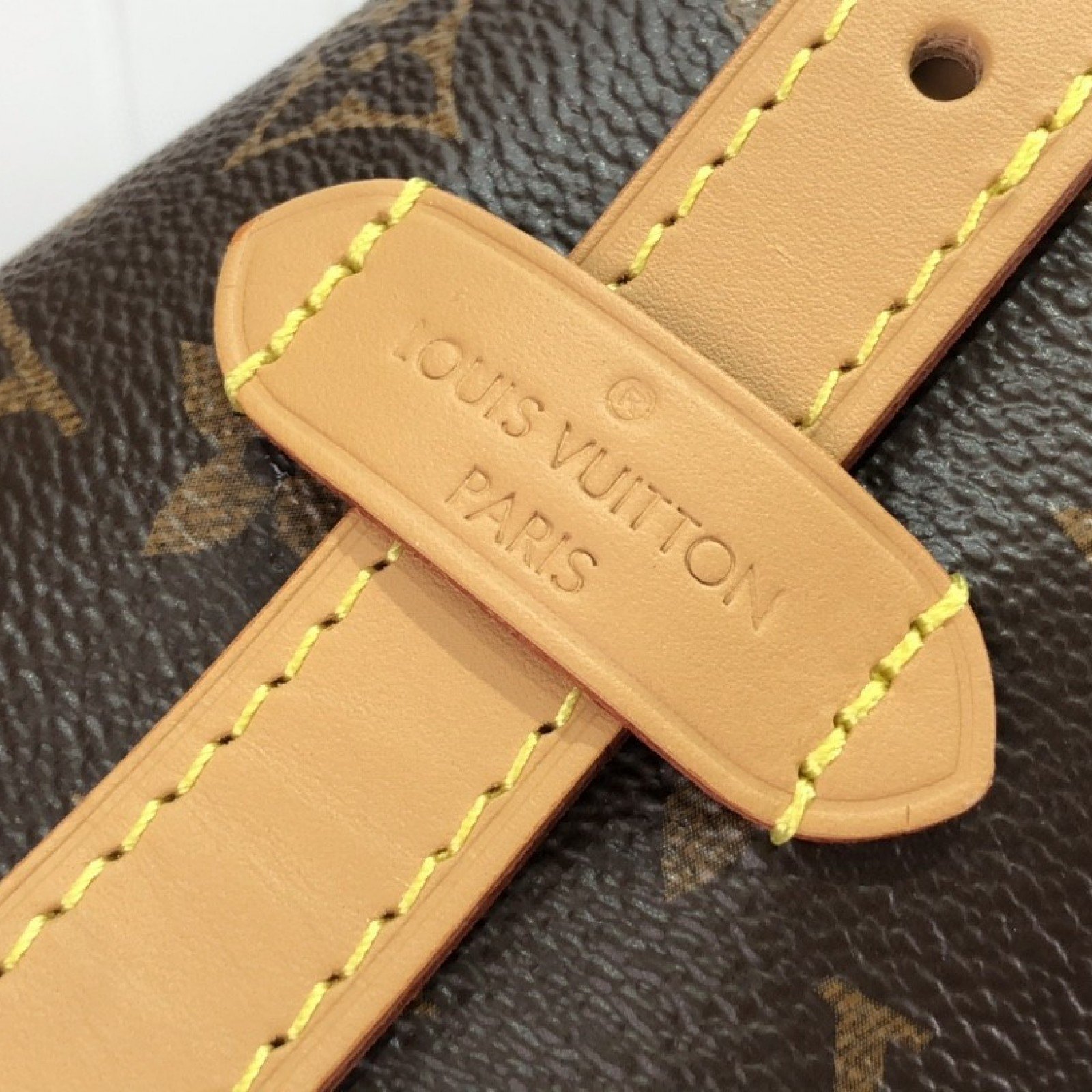 LV Handbag M46203