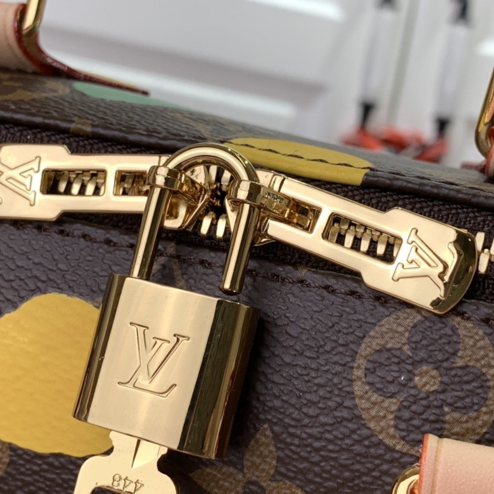 LV Handbag M46433