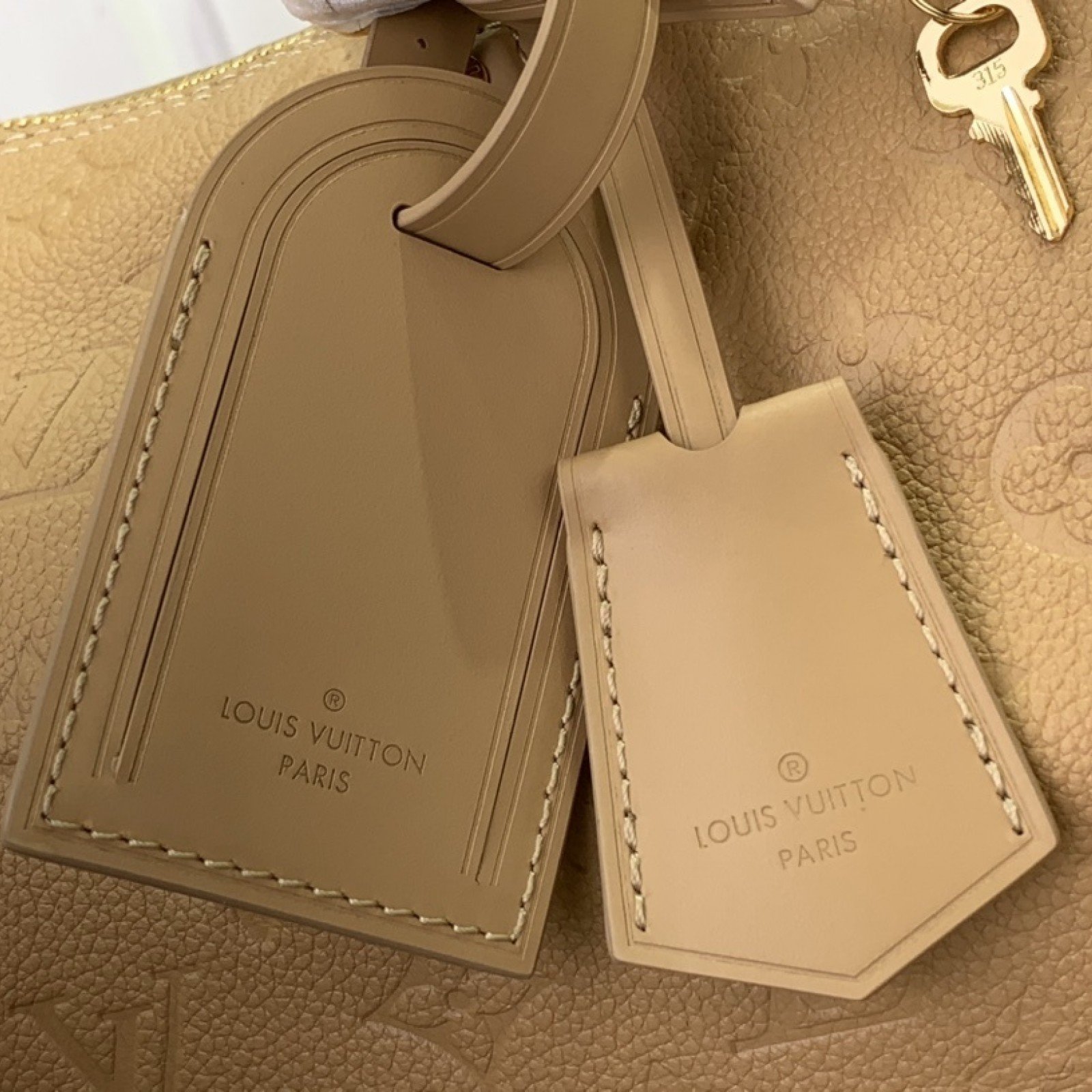 LV Handbag M47186