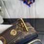 LV Handbag M51478