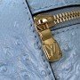 LV Handbag N85820