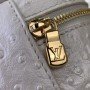 LV Handbag N85820