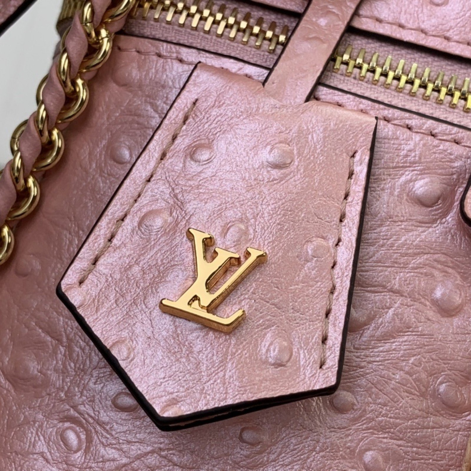 LV Handbag N85820