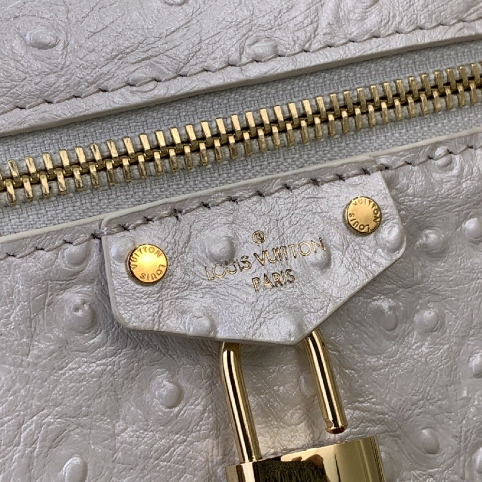 LV Handbag N85820