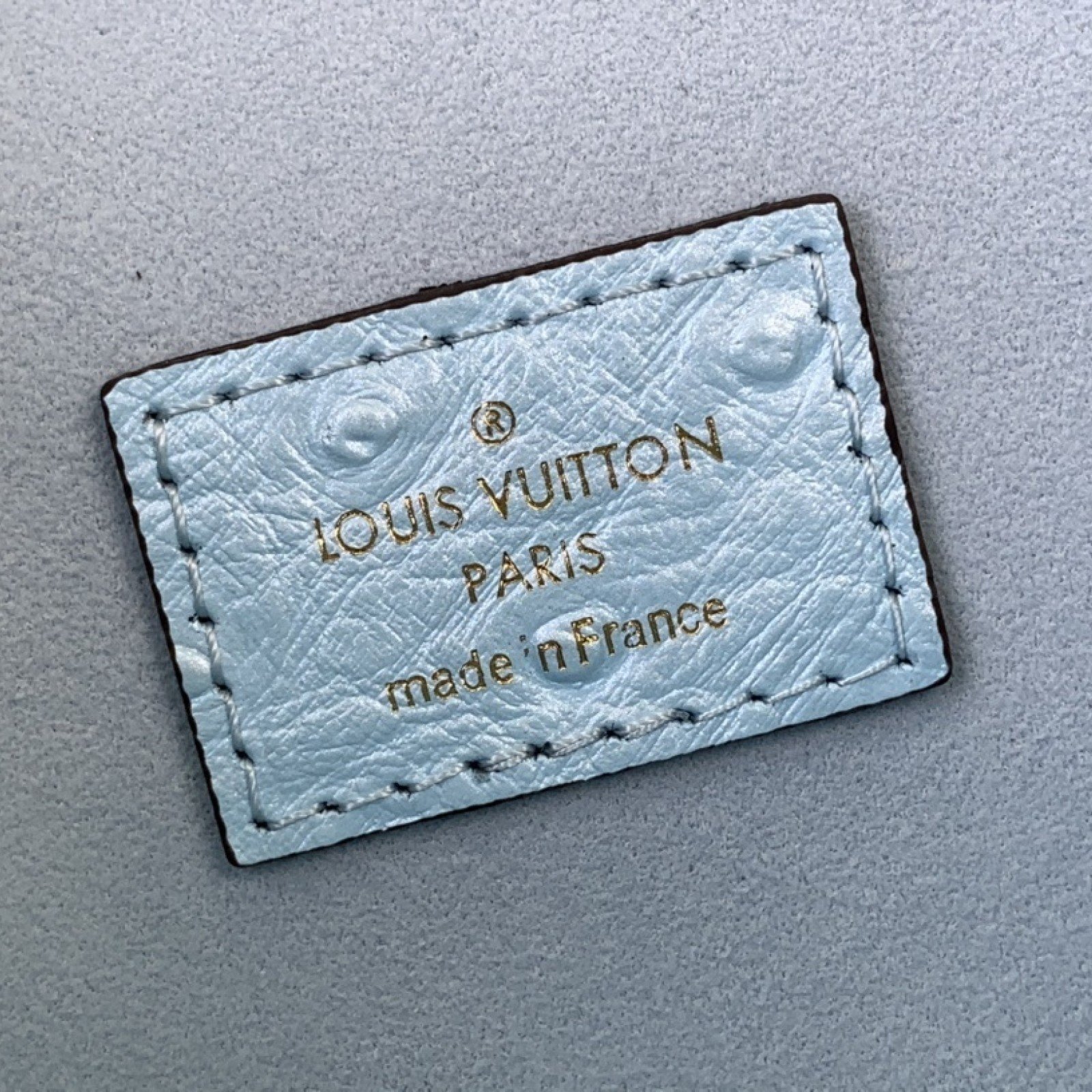 LV Handbag N85820