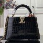 LV Handbag N93419
