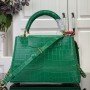 LV Handbag N93419