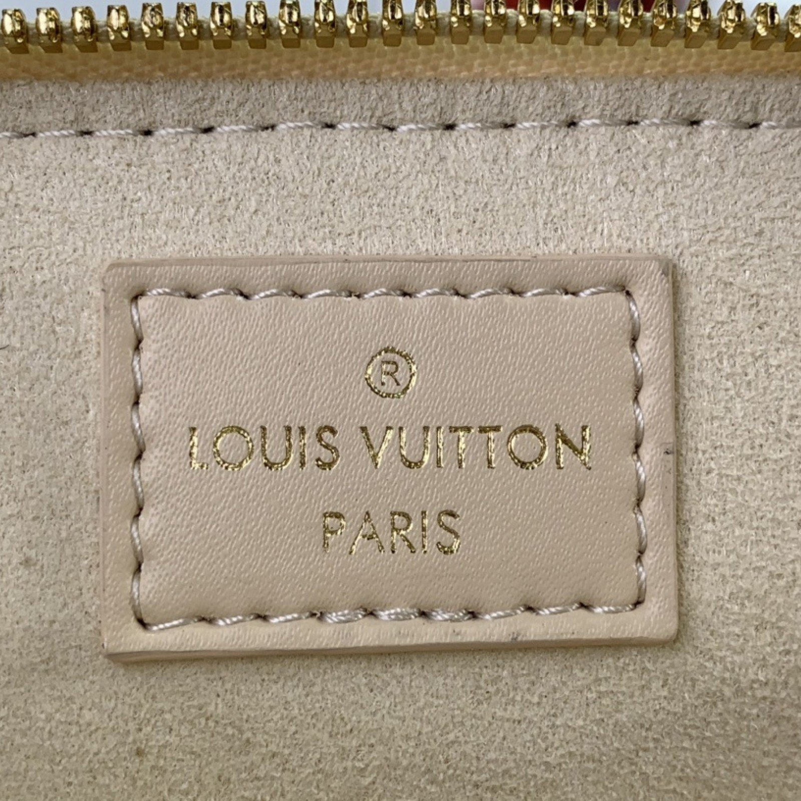 LV Handbag m22878