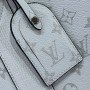 LV Handbag m30919