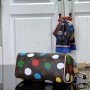 LV Handbag m81979