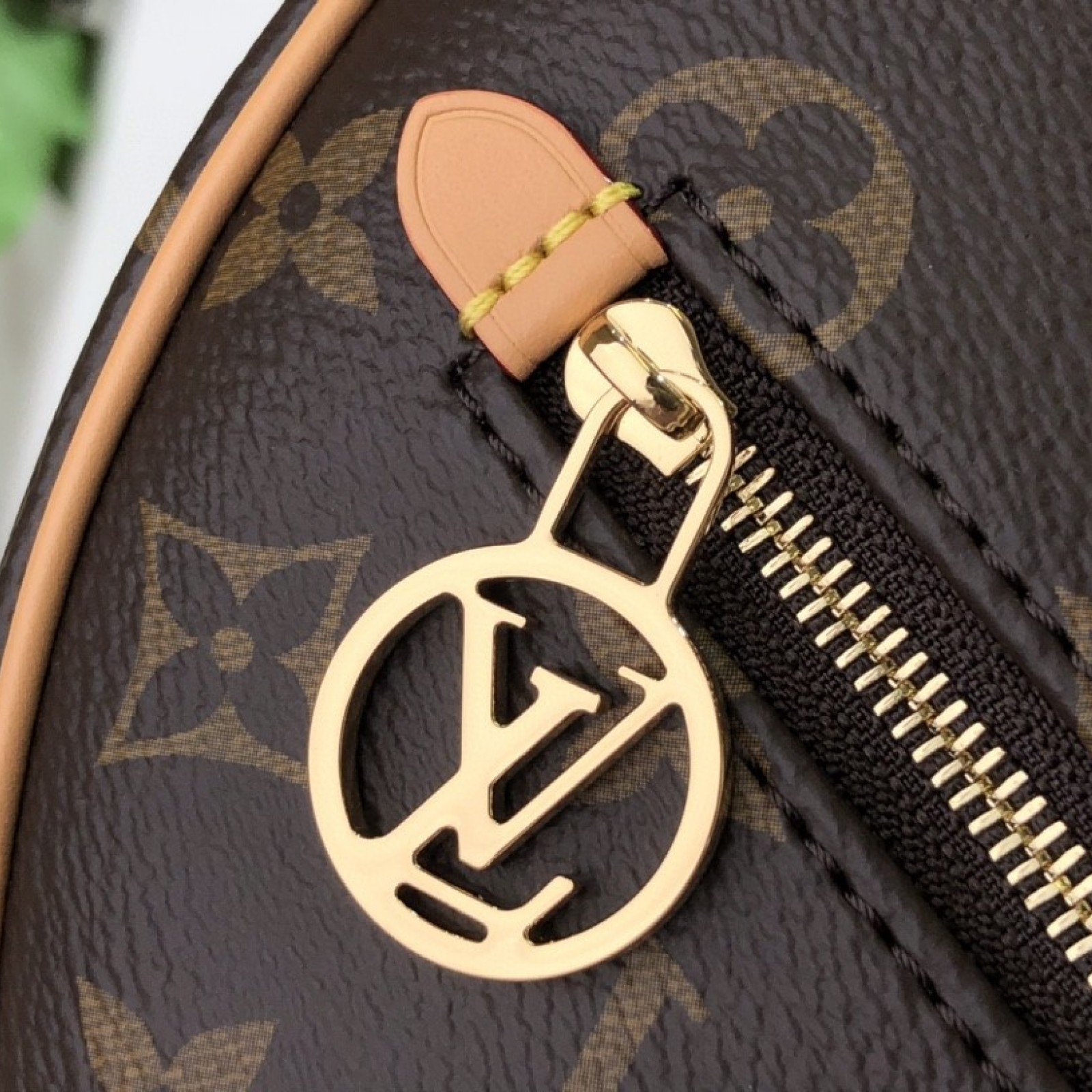 LV LOOP M81098