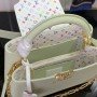 LV LV x TM CAPUCINES mini  m13253