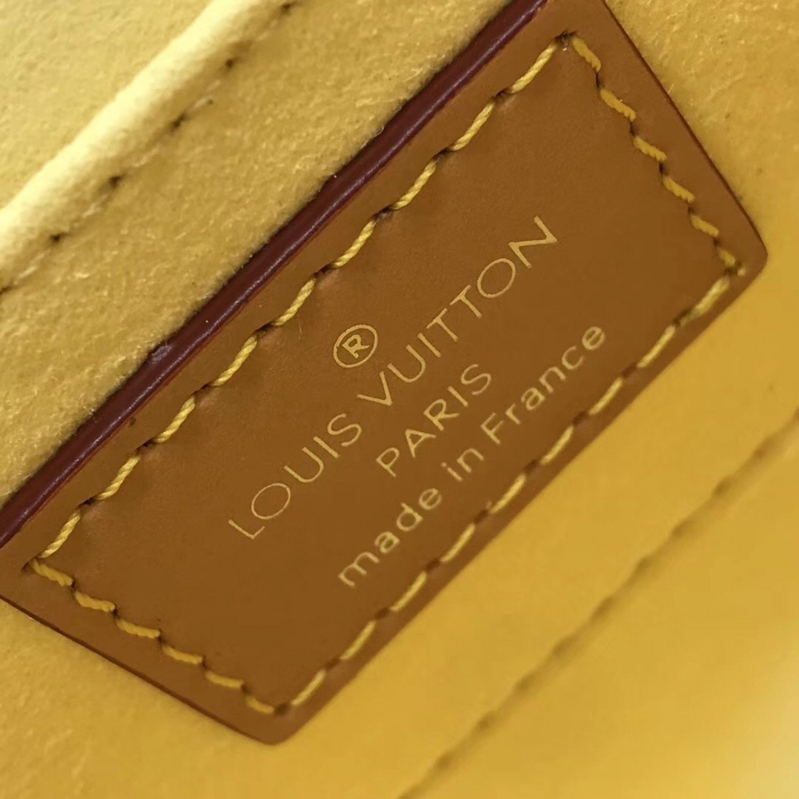 LV MINI DAUPHINE M55454